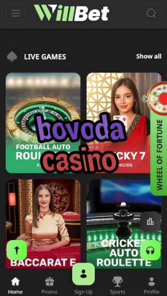 Bovoda Casino - Best Vodka-Themed Casino-www.bdqngd.com